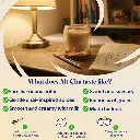 Img3B.webp